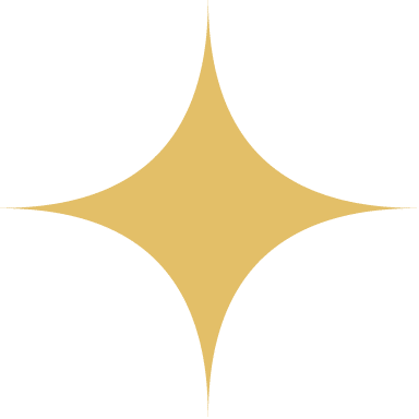 - Life Spark Connection